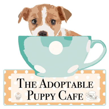 The Adoptable Puppy Cafe